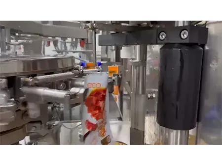 Automatic Rotary Vacuum Premade Pouch Packaging Machine