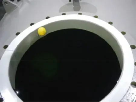 Fluoropolymer Lining