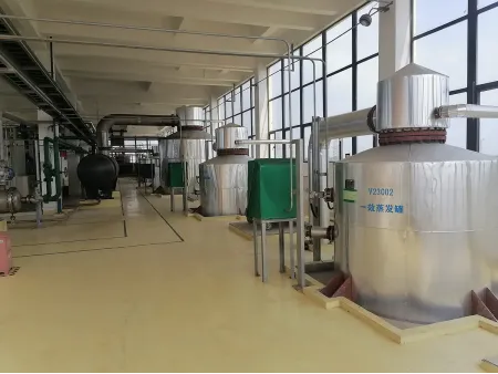 Lithium Sulfate Evaporation and Concentration System