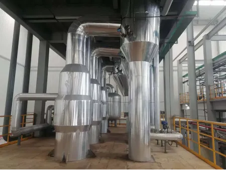 Nickel Sulfate Evaporation and Crystallization System