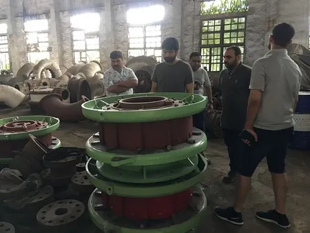Kaplan Turbine