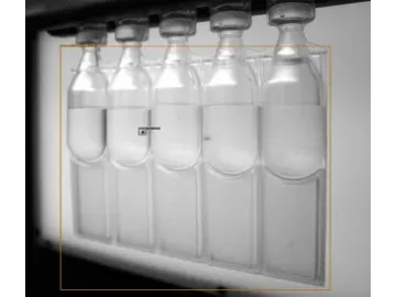 BFS Ampoule Leak Testing Machine