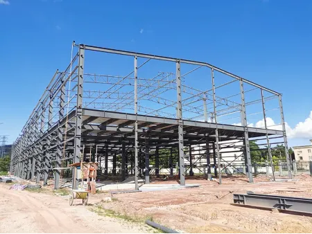 Multi-Storey Steel Buildings