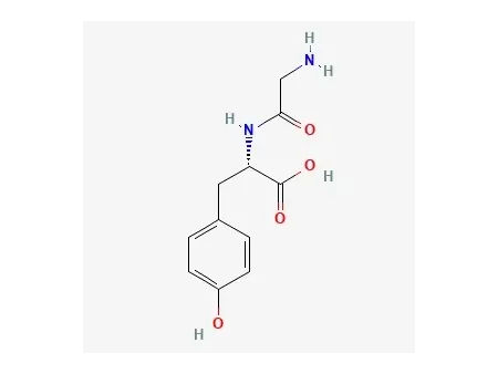 Glycyl-L-tyrosine