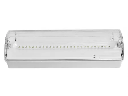 AD500 IP65 Waterproof LED Emergency Bulkhead