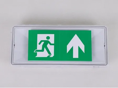 Bulkhead Emergency Light