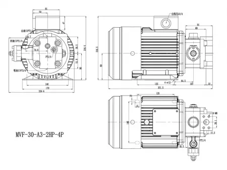 Pump & Motor Assemblies   (Vane Pump/Motor Unit)
