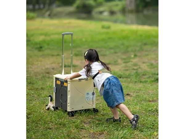 Foldable Box Trolley | Suitcase & Trolley Bags | ETW