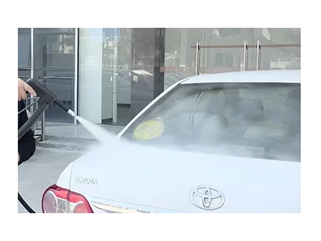 Diesel Steam Cleaner