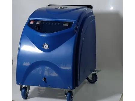 Steam Cleaner for Car Washing