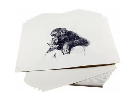 Sketch Paper (Drawing Paper)