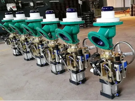 Glass Lined Flush Valve