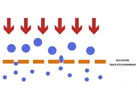 Online Liposome Extrusion System