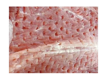 Meat Tenderizing Machine  (Roller Tenderizer)