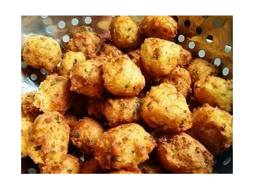 Continuous Deep Fryer