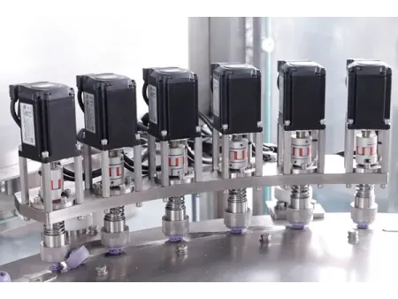 Spouted Pouch Filling and Capping Machine