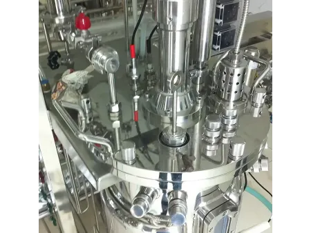 GMP Sanitary Bioreactor