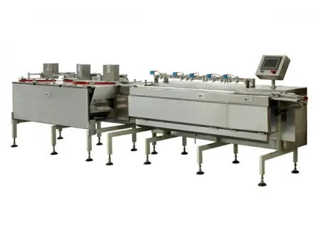 Automatic Feeding Packaging System