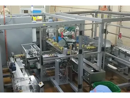 Automatic Noodle Packaging System