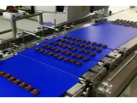 Automatic Wafer & Chocolate Packaging System