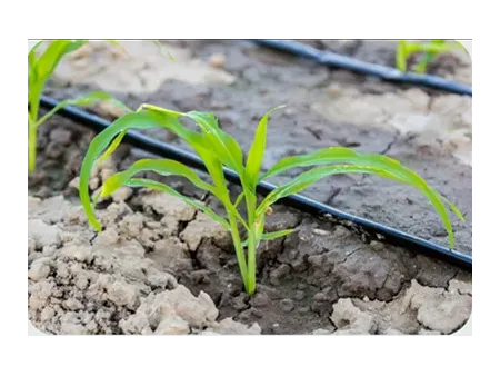 Flat PC Dripper Irrigation Pipe Making Machine