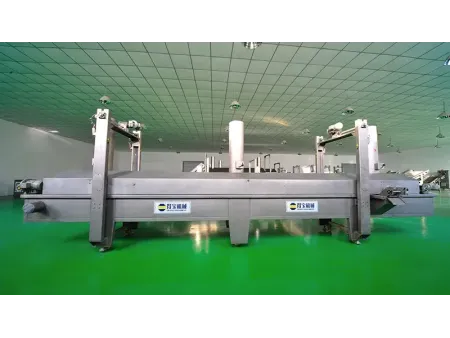 Breaded Products Fryer