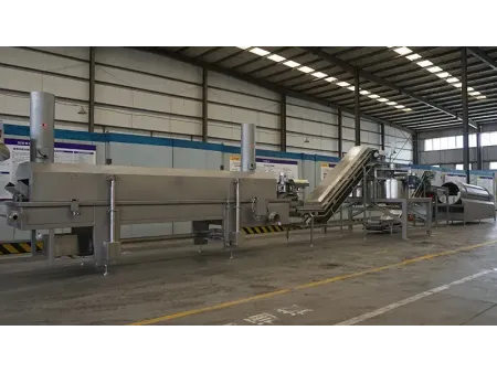 Snack Food Fryer  (Continuous Frying Machine)