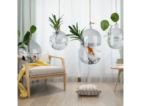 Hydroponic Plant Glass Vases & Glass Flower Pots