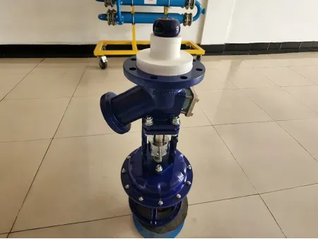 Bottom Outlet Valve / Glass-Lined Outlet Valve