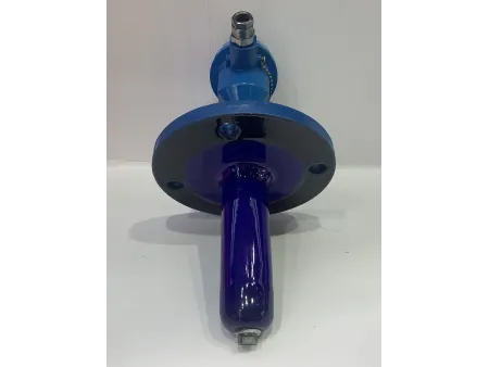 Glass-Lined Thermowell with RTD