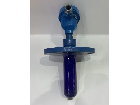 Glass-Lined Thermowell with RTD