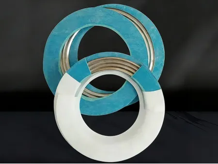 Glass-Lined Vessel Gasket