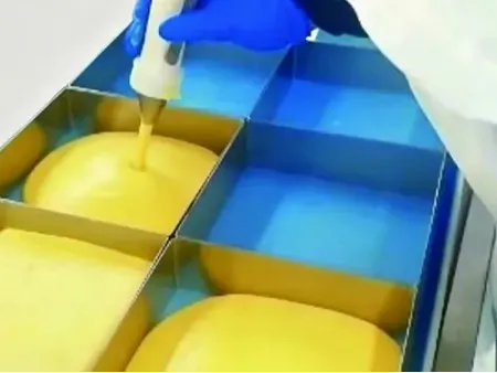 Handheld Depositing Machine C4