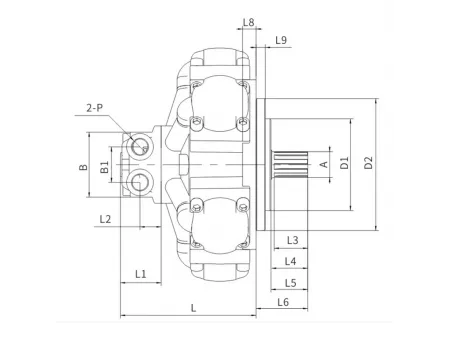 Low Speed High Torque Motor