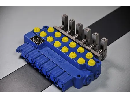 Integrated Hydraulic Directional Valve