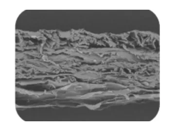 Dental Collagen Membrane