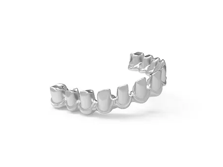 Dental Bridge