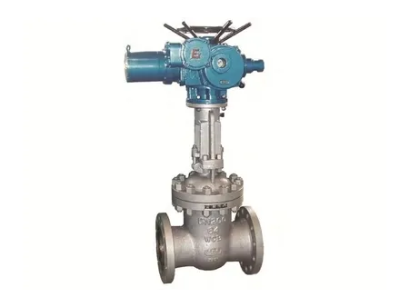 Investment Casting Actuated Valves