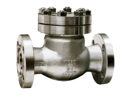 ANSI Flanged Swing Check Valve  (316 SS Check Valve)