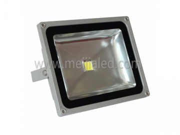 50W LED Floodlight