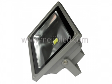 50W LED Floodlight