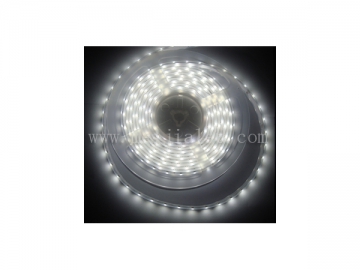 Single Color SMD LED Strip Light