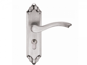 F2445-P2 Stainless Steel Door Lock