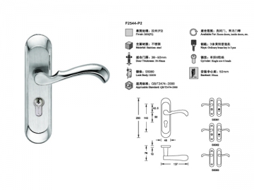 F2544-P2 Stainless Steel Door Lock