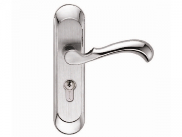 F2544-P2 Stainless Steel Door Lock