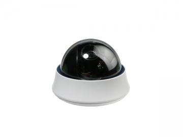 Plastic Dome Camera