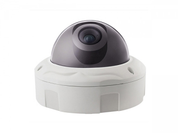 Metal Dome Camera