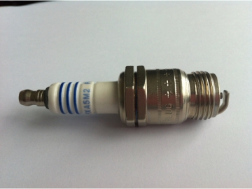 Engine Spark Plug