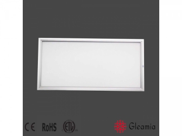 300x600x12mm Rectangular LED Light Panel