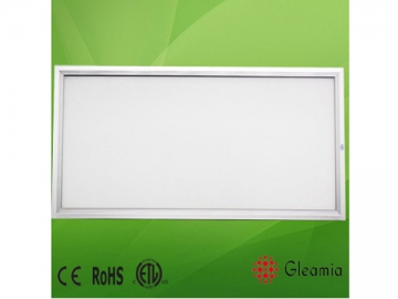 600x1200x12mm Dimmable Flat LED Light Panel